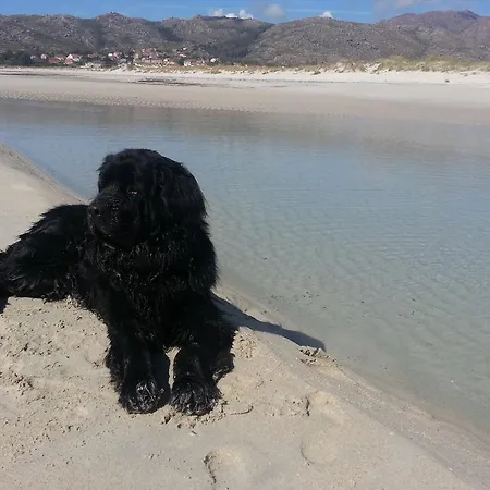 Landhaus San Cibran Loureda