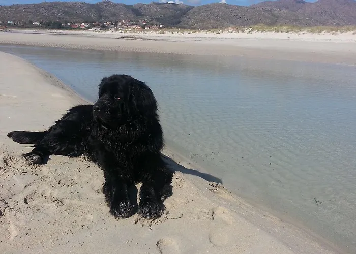 Venkovský dům San Cibran Loureda